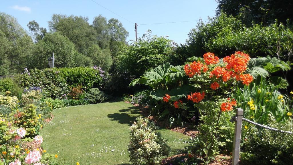 אולברסטון Lyndhurst Guest House מראה חיצוני תמונה